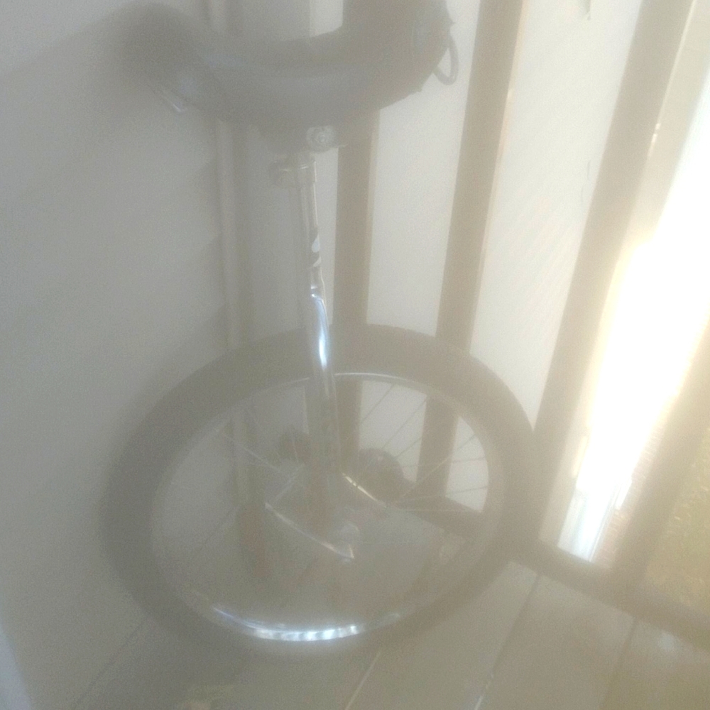 Mongoose unicycle